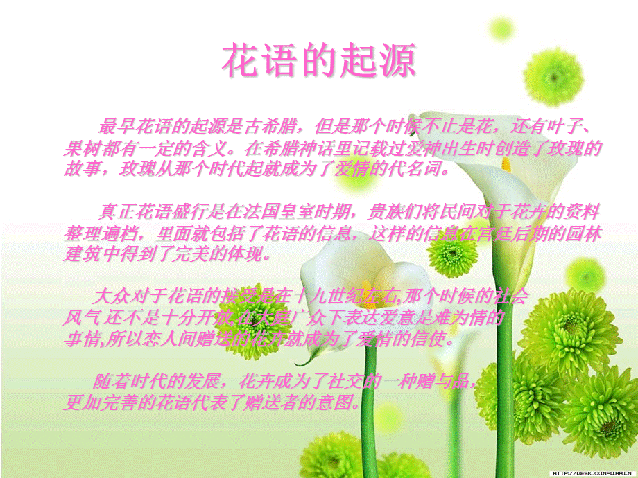 花语与花卉礼仪.ppt_第3页