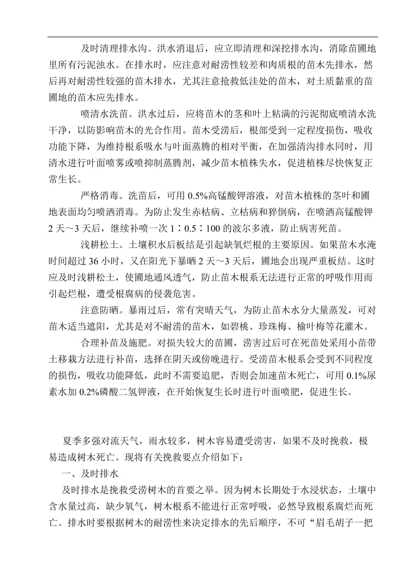 苗木受涝后如何急救处理.doc_第2页