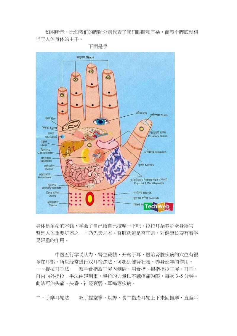 转载：太晚睡觉等于自杀,你晚上一般什么时候睡觉？.doc_第2页