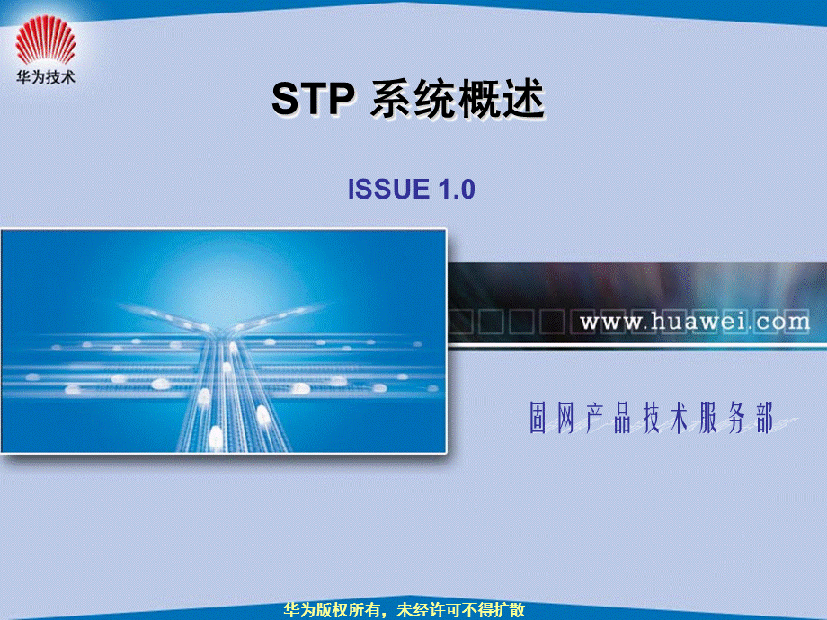 STP 系统概述.ppt_第1页