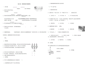 最新科教版六年级下册科学第二单元--物质的变化单元测试卷(含答案).docx