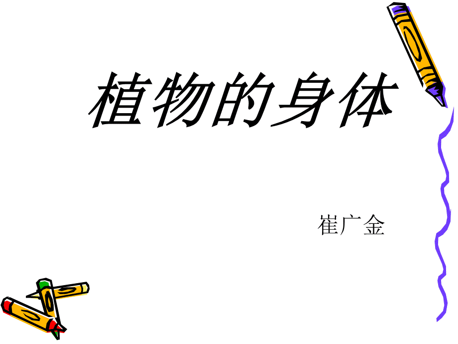 植物的身体课件.ppt_第1页