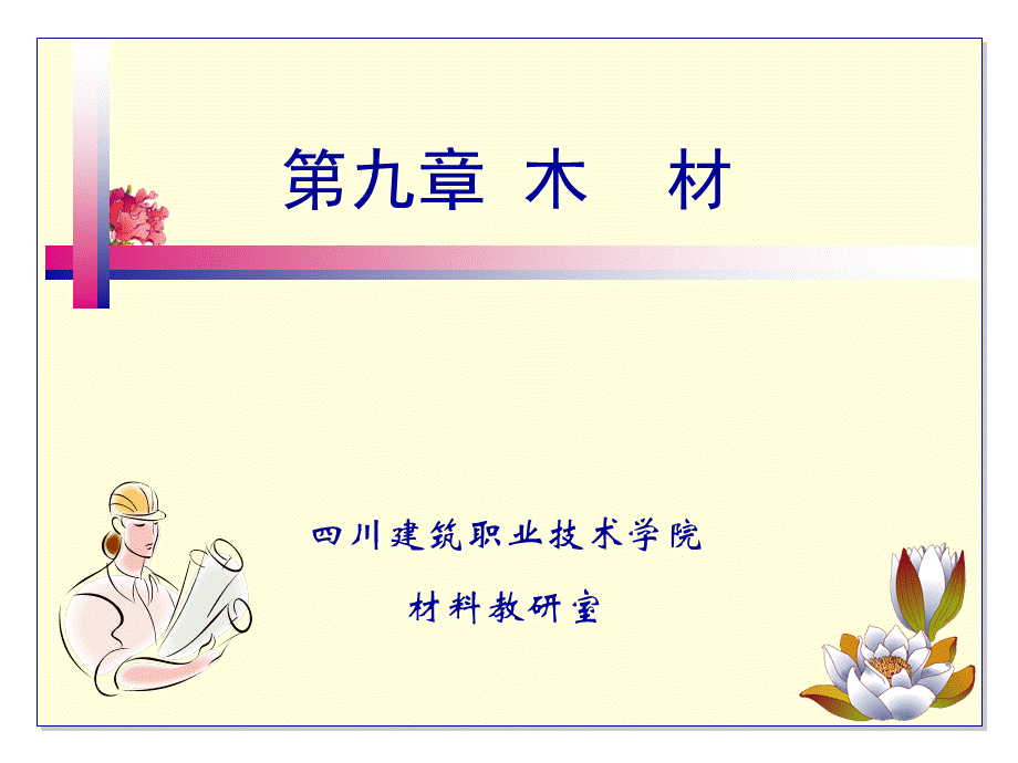 第九章木材.ppt_第1页