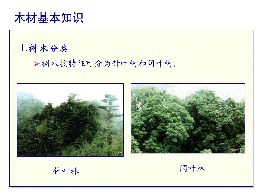 第九章木材.ppt_第2页