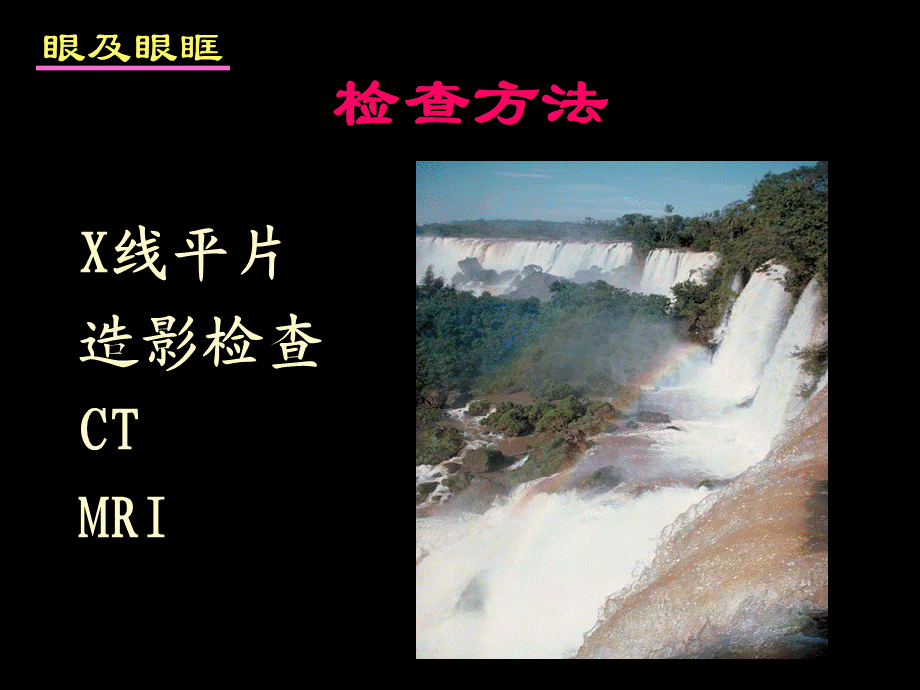 眼及眼眶.ppt_第3页