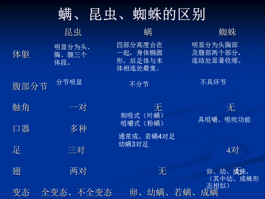 昆虫百科螨类昆虫.ppt_第3页