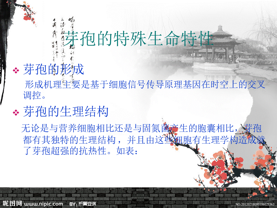 芽孢与渗透调节皮层膨胀学说.ppt_第3页