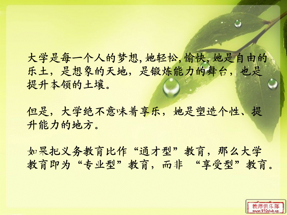 加强纪律教育,营造良好学风.ppt_第2页