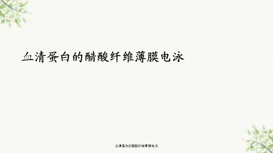 血清蛋白的醋酸纤维薄膜电泳课件.ppt_第1页