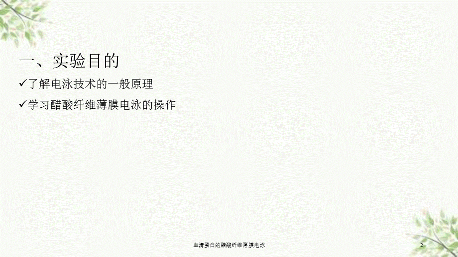 血清蛋白的醋酸纤维薄膜电泳课件.ppt_第2页