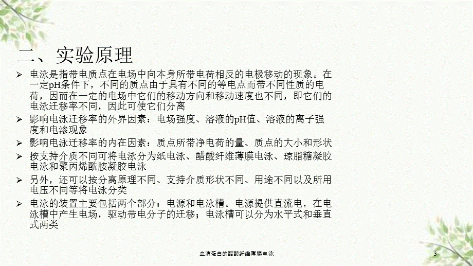 血清蛋白的醋酸纤维薄膜电泳课件.ppt_第3页