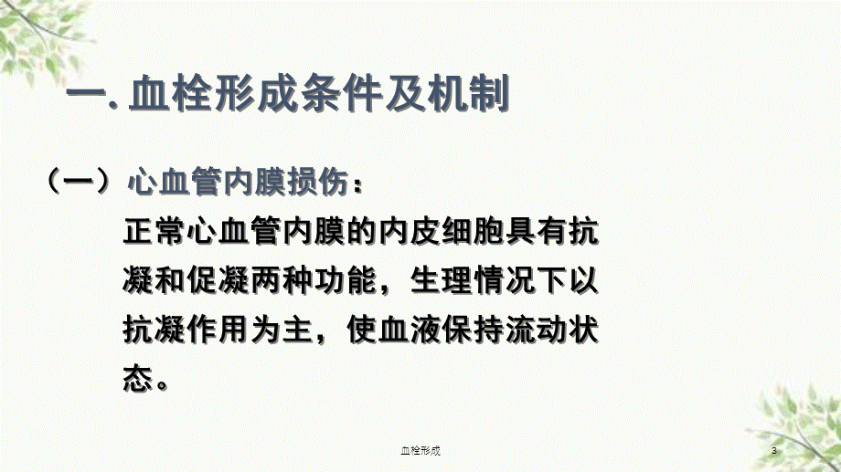 血栓形成课件.ppt_第3页