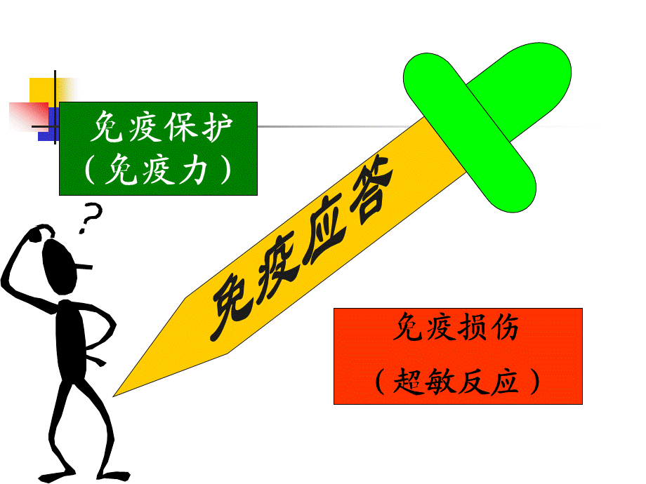 过敏反应超敏反应PPT -经典整理收藏.ppt_第3页