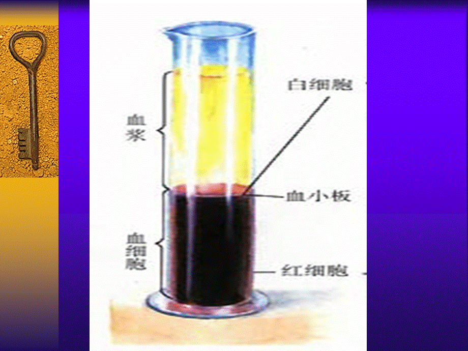 流动的组织2.ppt_第2页