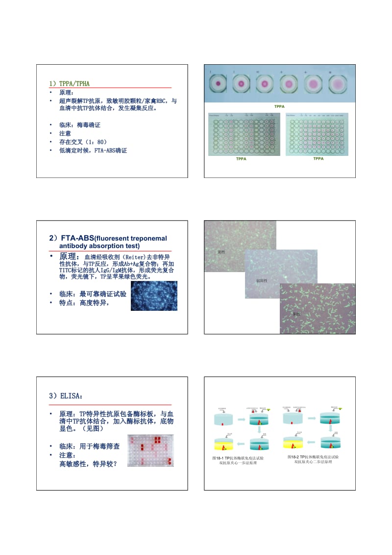 梅毒血清学检测策略.pdf_第2页