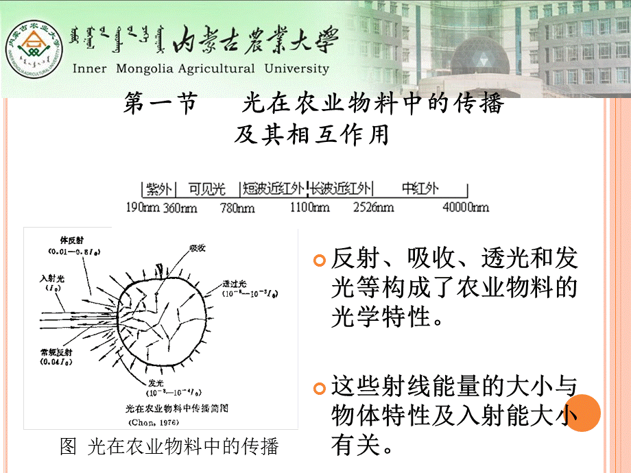 第七章 农业物料的光学特性.ppt_第2页