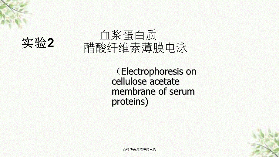 血浆蛋白质醋纤膜电泳课件.ppt_第1页