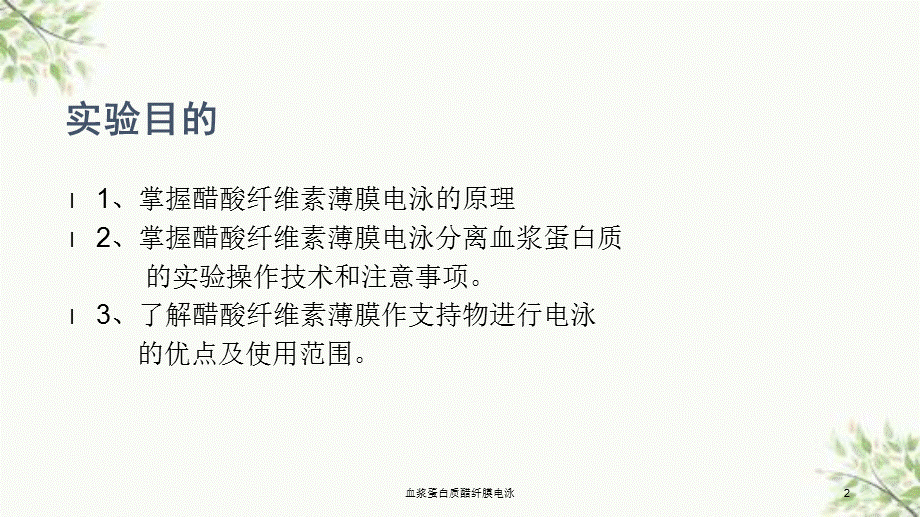 血浆蛋白质醋纤膜电泳课件.ppt_第2页