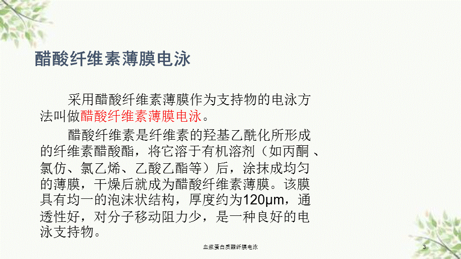 血浆蛋白质醋纤膜电泳课件.ppt_第3页