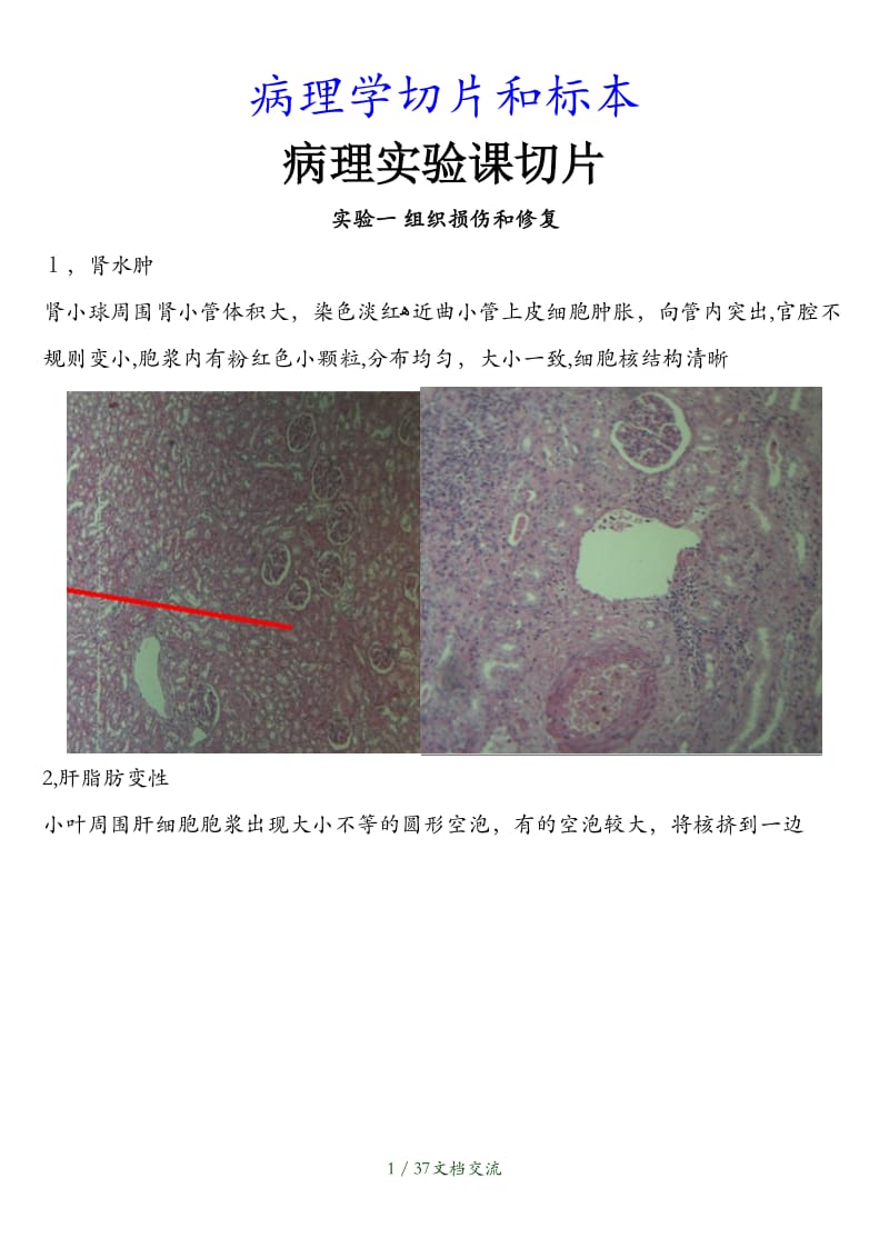 病理学切片和标本（干货分享）.doc_第1页