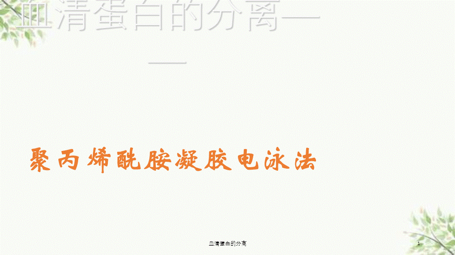 血清蛋白的分离课件.ppt_第1页