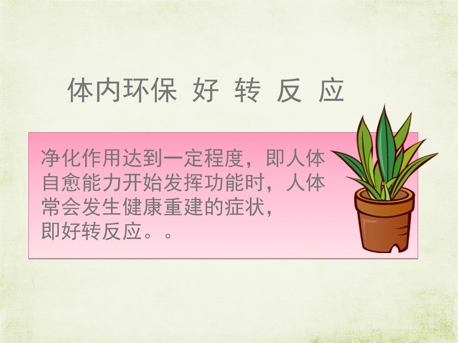 秘现反应.ppt_第2页