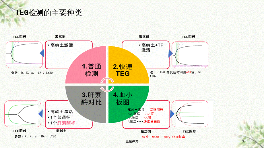 血栓弹力课件.ppt_第3页