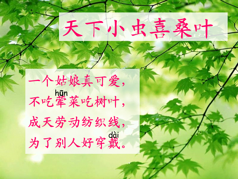 蚕姑娘市级公开课课件定稿.ppt_第1页