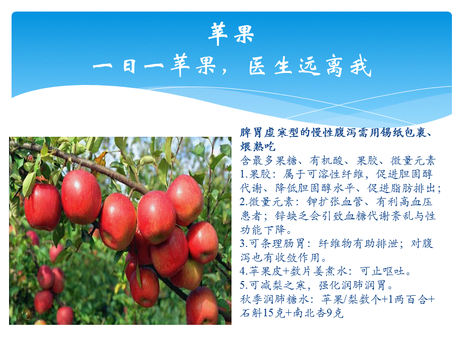 常见水果药用功效.ppt_第2页