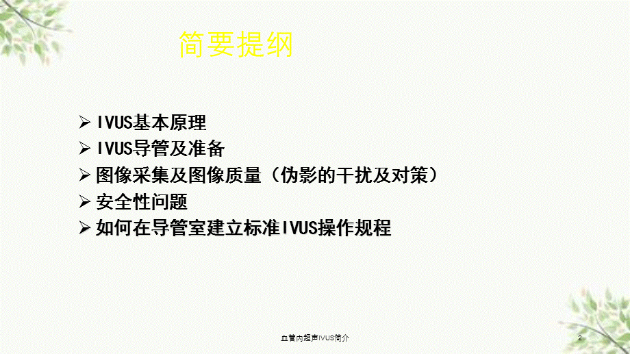 血管内超声IVUS简介课件.ppt_第2页