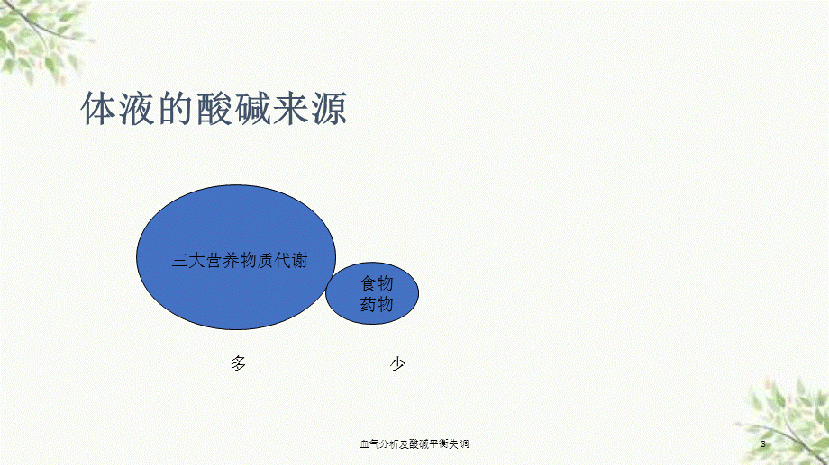 血气分析及酸碱平衡失调课件.ppt_第3页