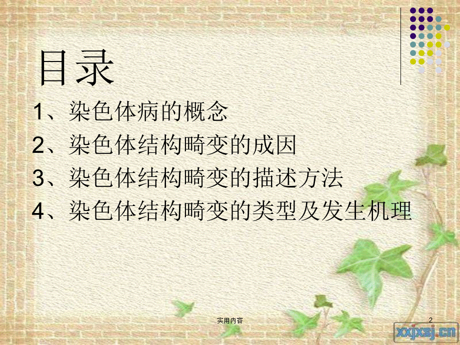 染色体结构畸变[稻谷文苑].ppt_第2页