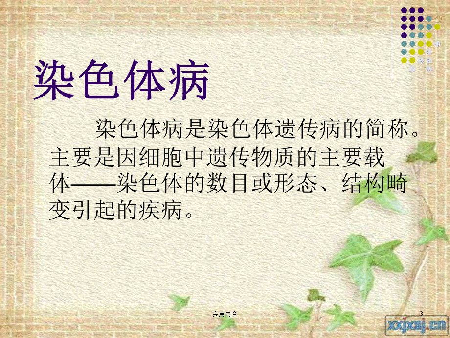 染色体结构畸变[稻谷文苑].ppt_第3页