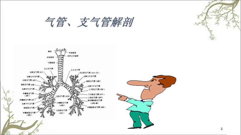 气管支气管肿瘤课件.ppt_第2页