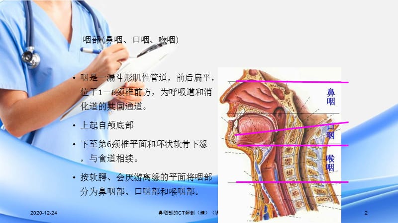 鼻咽部的CT解剖（精）（课件分享）.ppt_第2页