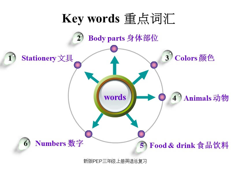 新版PEP三年级上册英语总复习（经典实用） (2).ppt_第3页