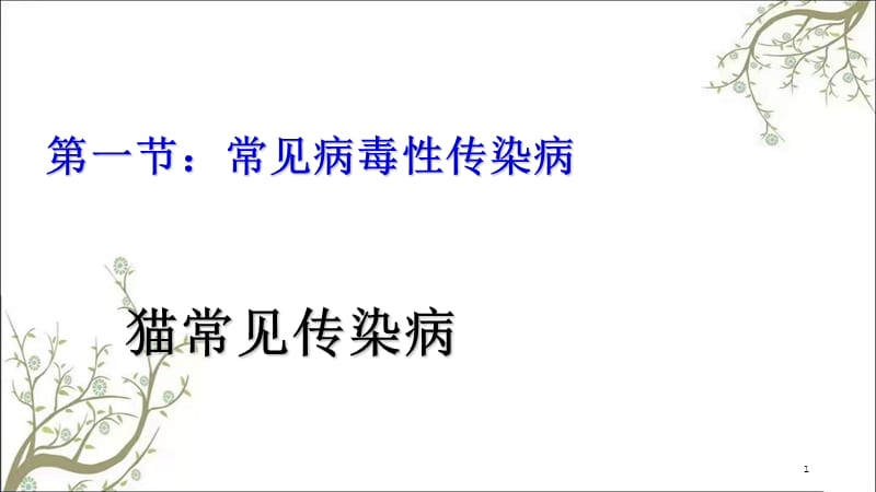 猫的常见传染病课件.ppt_第1页