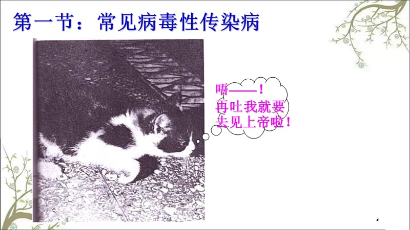 猫的常见传染病课件.ppt_第3页