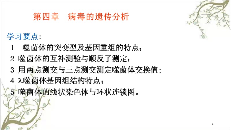 病毒遗传分析课件.ppt_第1页