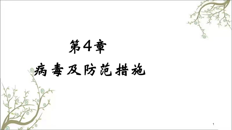 病毒及防范措施课件.ppt_第1页