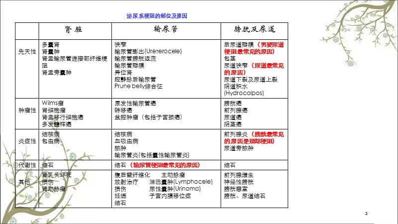 泌尿系梗阻课件.ppt_第3页