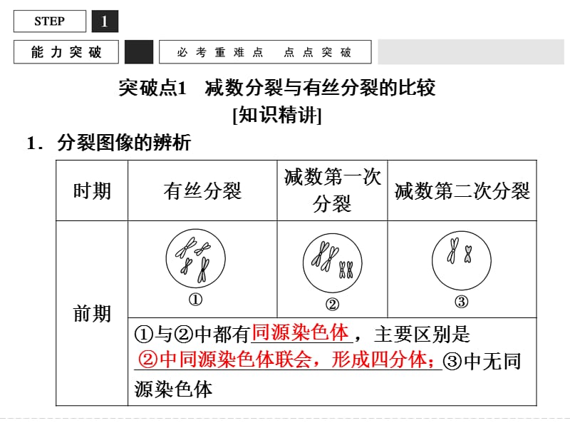 高考生物大一轮复习课件：能力提升案5 有丝分裂与减数分裂的比较及减数分裂与可遗传变异的关系[上课材料].ppt_第2页