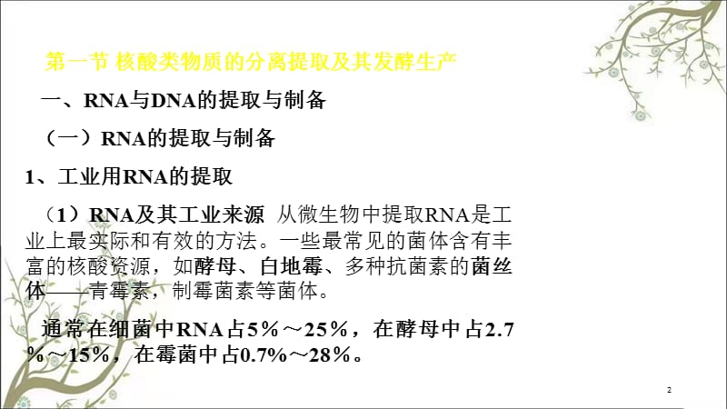 核酸类药物课件.ppt_第2页