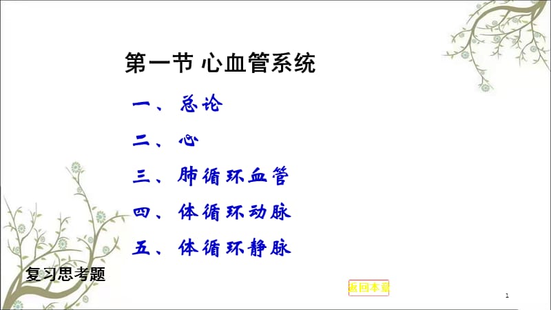 心血管系统课件.ppt_第1页