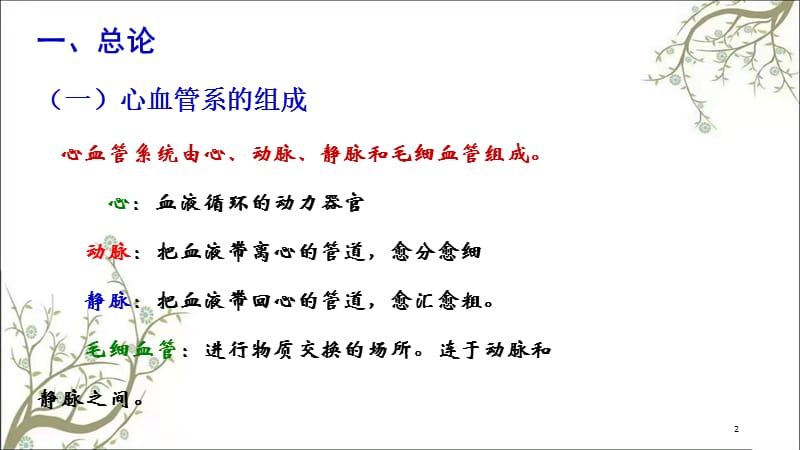 心血管系统课件.ppt_第2页