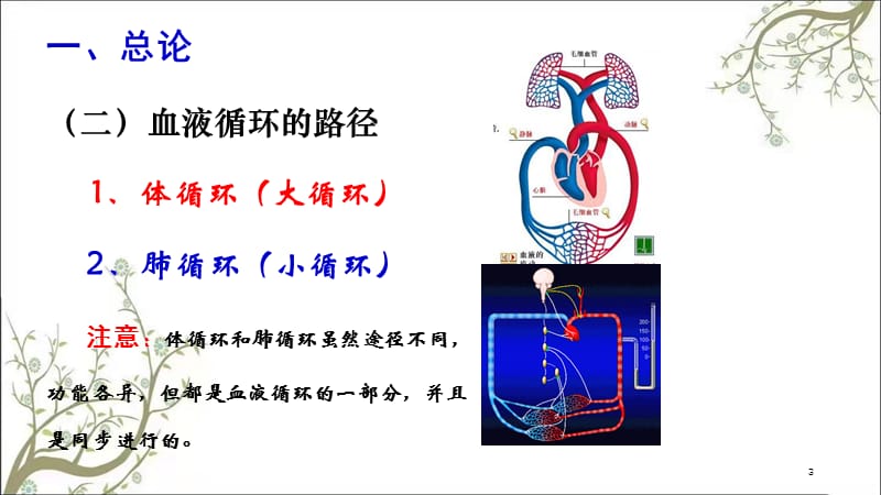 心血管系统课件.ppt_第3页