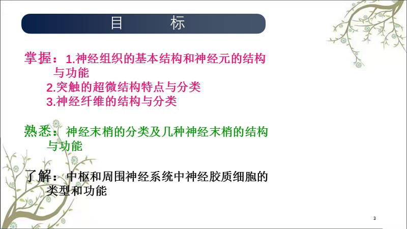 神经组织(2)课件.ppt_第3页