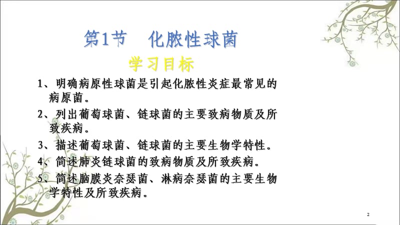 常见病原菌课件.ppt_第2页