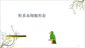 粒系血细胞形态课件.ppt