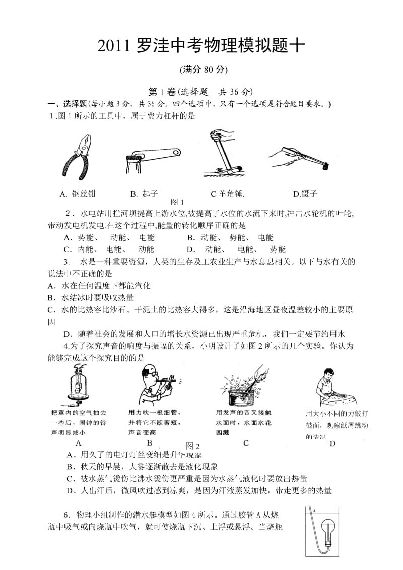 罗洼中考物理模拟题及答案(十).doc_第1页